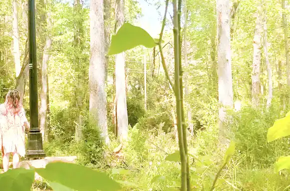 Among the Dead Hover